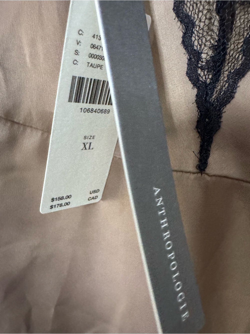 Anthropologie Taupe Satin Maxi Dress with Black Lace Trim - Picture 5 of 6